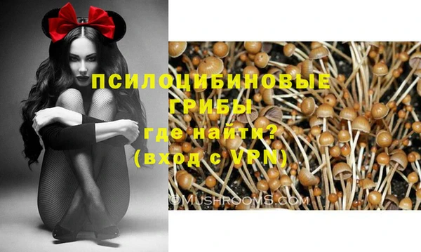 героин Покачи