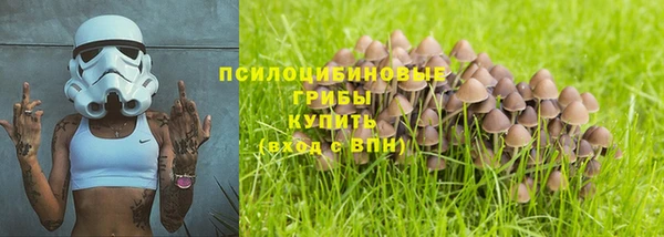 ALPHA-PVP Алексеевка