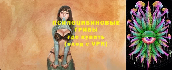 героин Алексин