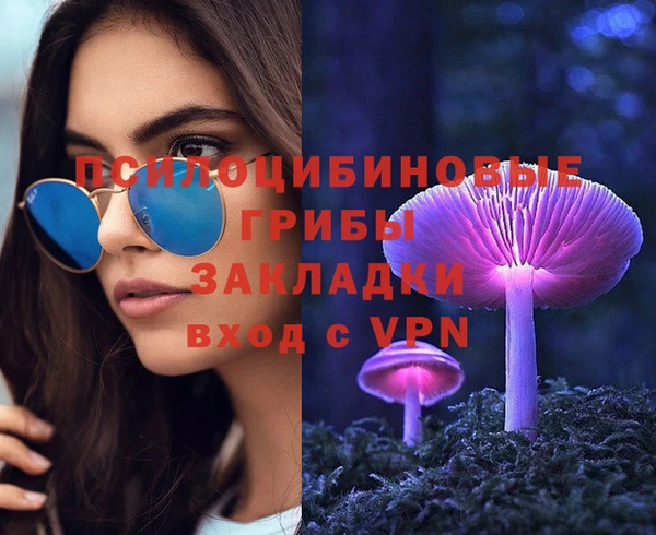 прущий лед Алзамай